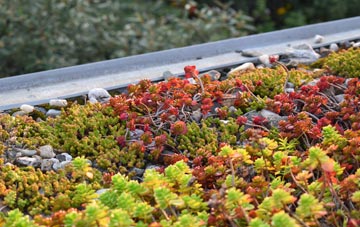 the cost of Walmley green roof installation